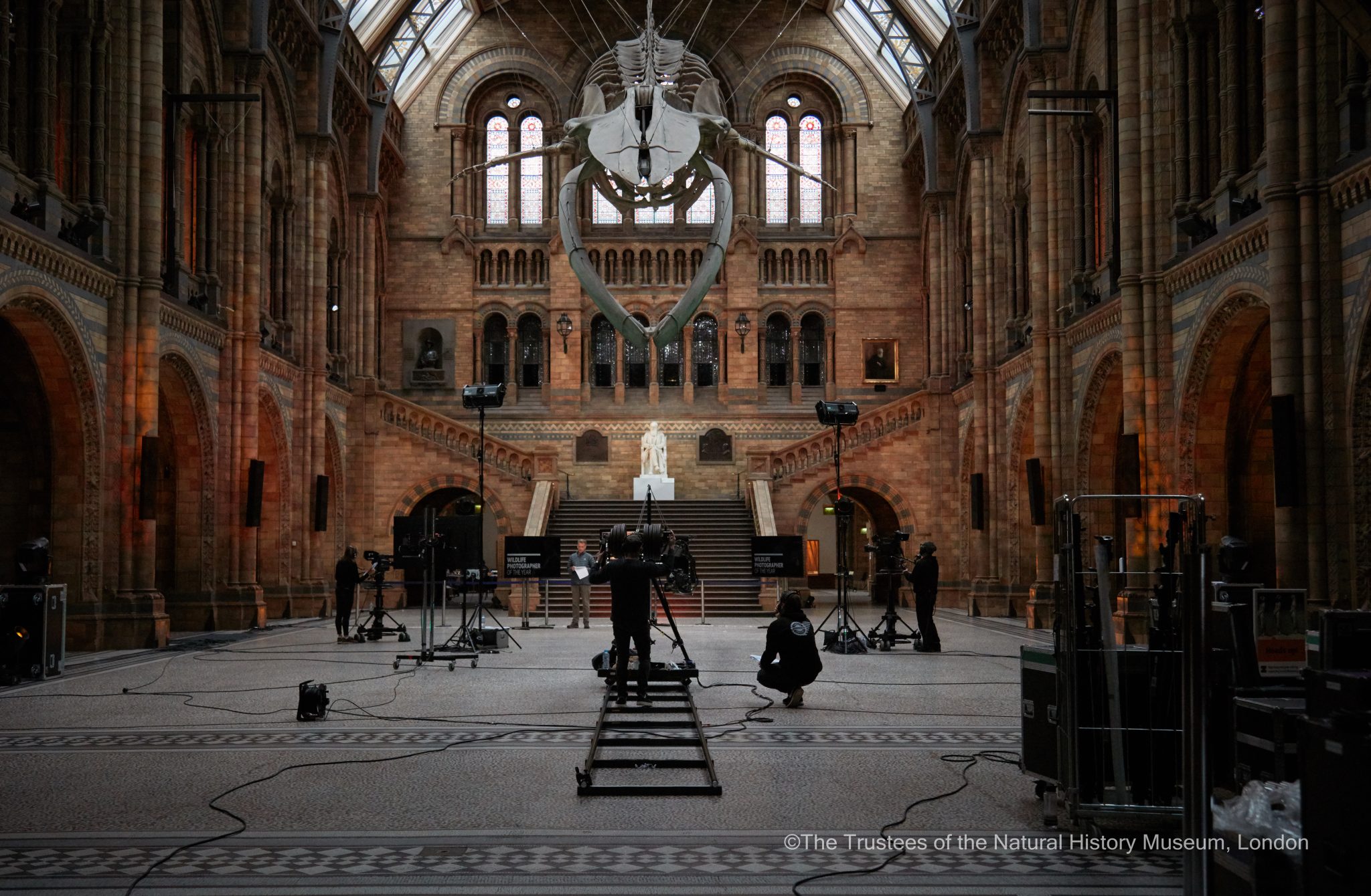 Natural History Museum: Wildlife Photographer of the Year 2020