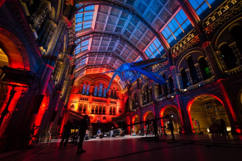 Natural History Museum: The Lost Words Spell Songs