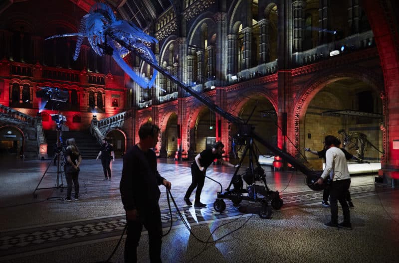 Wildlife Photographer of the Year 2021